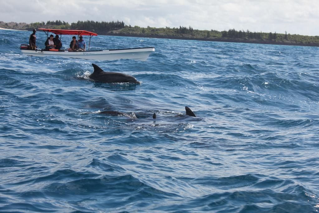 Dolphin Safari Lodge Mahonda Exterior foto